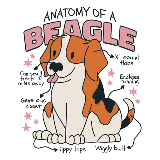 Anatomía de un beagle Diseño PNG