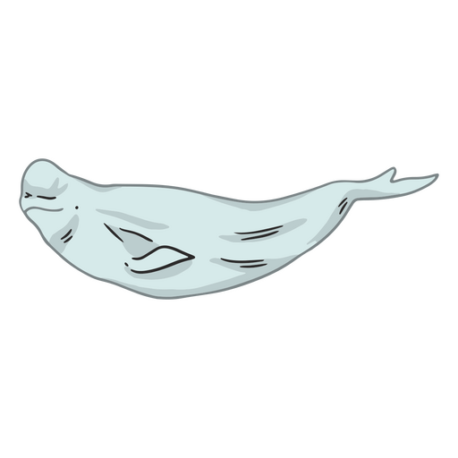 Illustration of a seal PNG Design