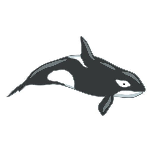 Ilustración estilizada de una orca Diseño PNG