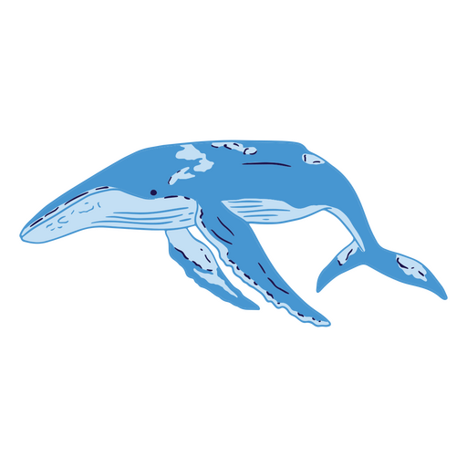 Blue humpback whale PNG Design