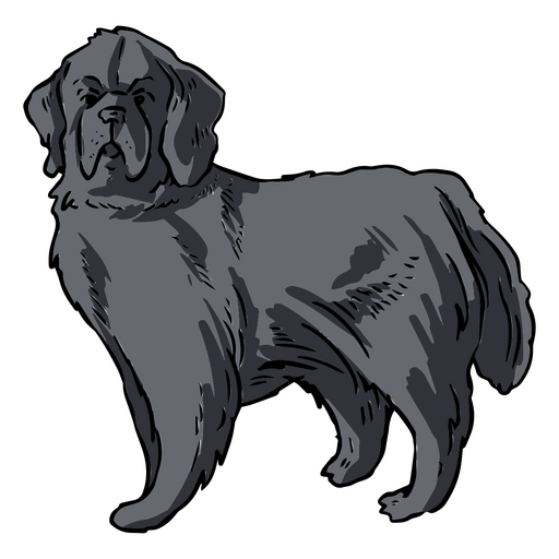 Realistische Hundeillustration für Tierliebhaber PNG-Design