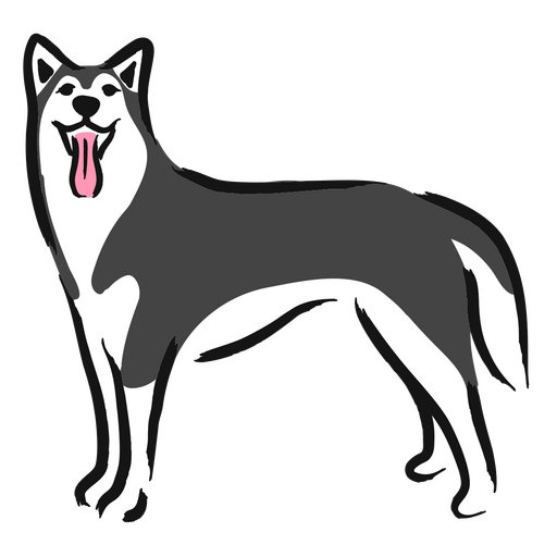 Cachorro husky preto e branco em p? com a l?ngua de fora Desenho PNG