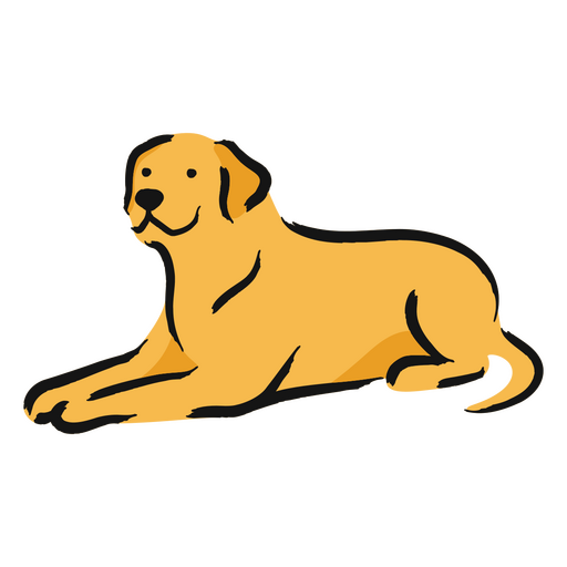 Golden Retriever Hund legt sich hin PNG-Design