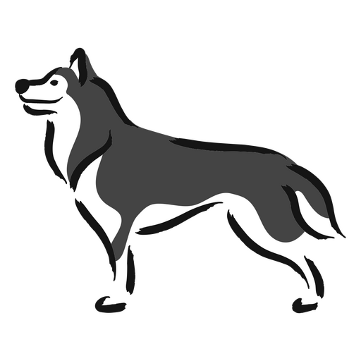 Cachorro husky preto e branco em p? Desenho PNG
