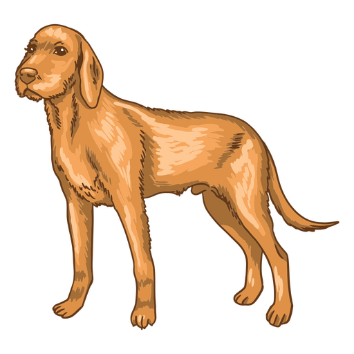Cachorro marrom em p? Desenho PNG