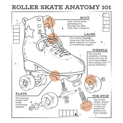 Anatomía del patín 101 Diseño PNG