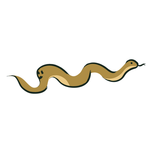 Illustration of a snake PNG Design