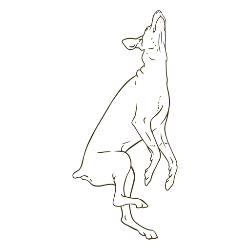 Dibujo en blanco y negro de un perro saltando. Diseño PNG