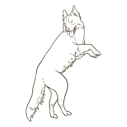 Deutscher Schäferhund steht auf seinen Hinterbeinen PNG-Design