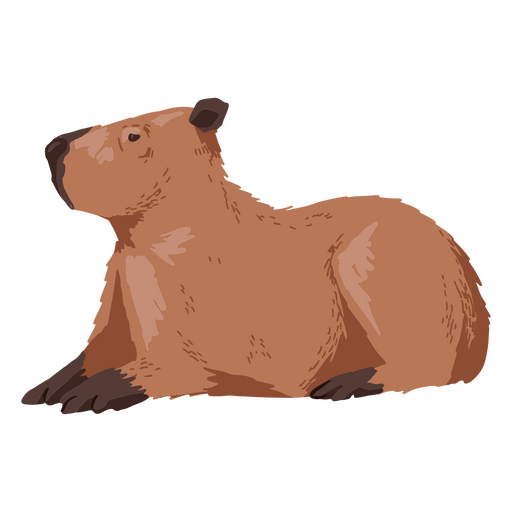 Brown bear laying down PNG Design