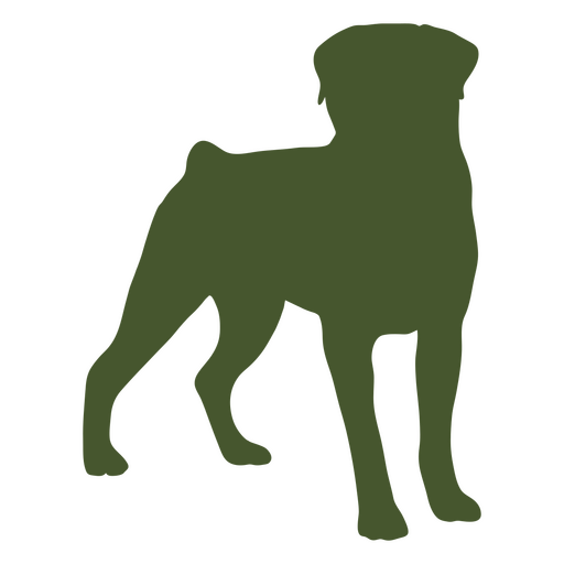 Grüne Silhouette eines stehenden Hundes PNG-Design
