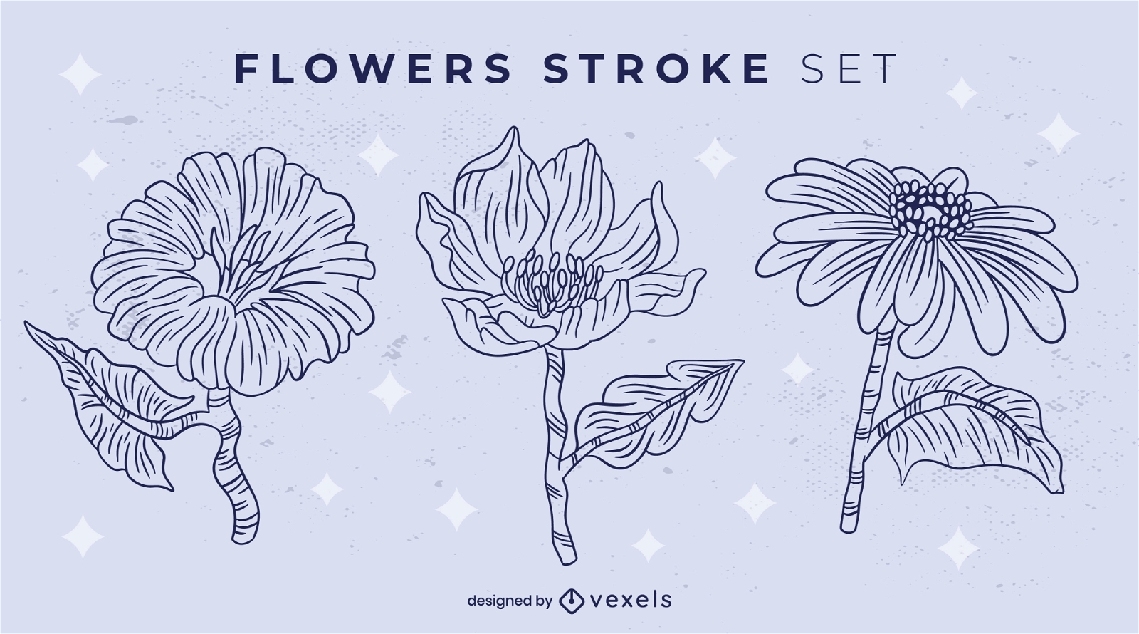Flowers stroke illustration set design