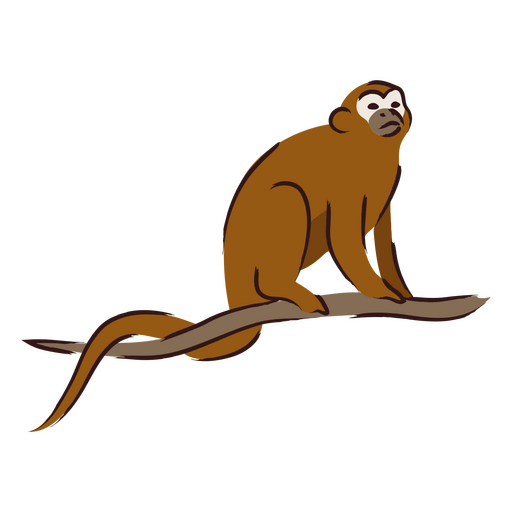 Brown monkey sitting on a branch PNG Design