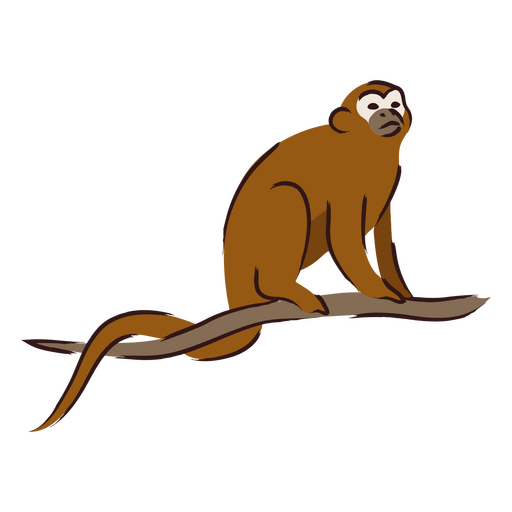 Design PNG E SVG De Zodíaco Chinês Colorido De Macaco Para Camisetas