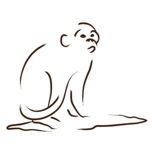 Macaco marrom sentado no ch?o Desenho PNG