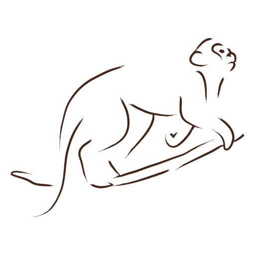 Silhueta de um macaco em um galho Desenho PNG