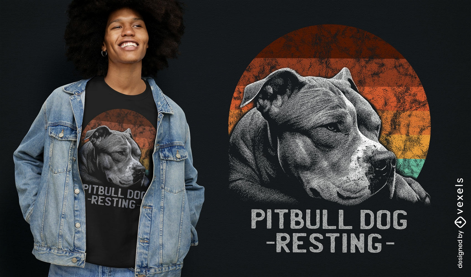 Diseño de camiseta de perro pitbull en reposo.