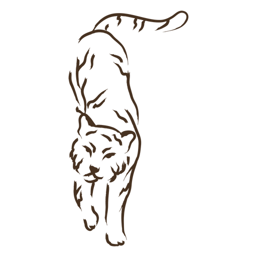Brown cat walking PNG Design