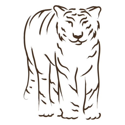 Tigre marrom em pé Desenho PNG