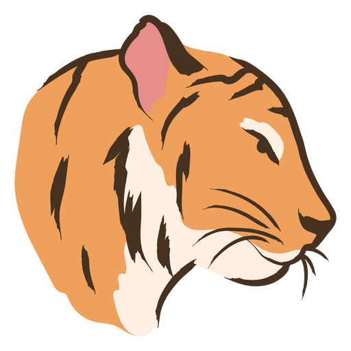 Tra?o colorido da cabe?a de tigre Desenho PNG