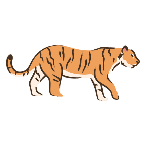 Tigre andando com traço colorido simples Desenho PNG