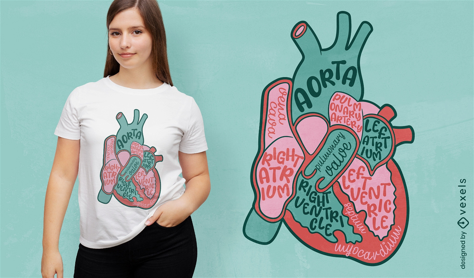 Partes del diseño de la camiseta del corazón humano.
