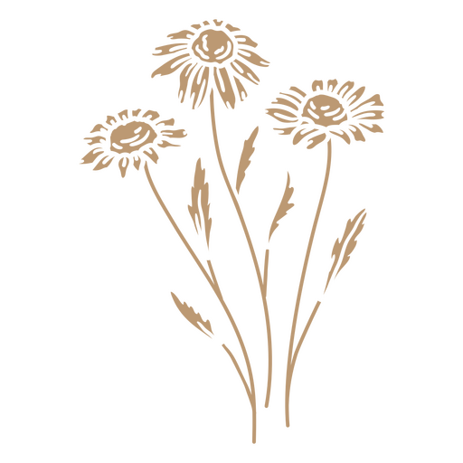 Three daisies PNG Design