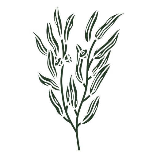 Eukalyptusblätter ausgeschnitten PNG-Design