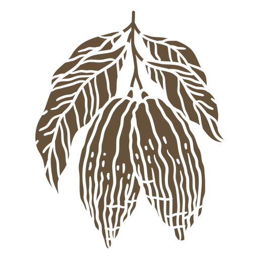 Dois grãos de cacau com folhas Desenho PNG