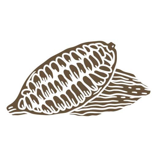 Künstlerische Kakaofruchtillustration PNG-Design