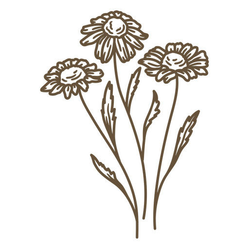 Braune Zeichnung von Blumen PNG-Design