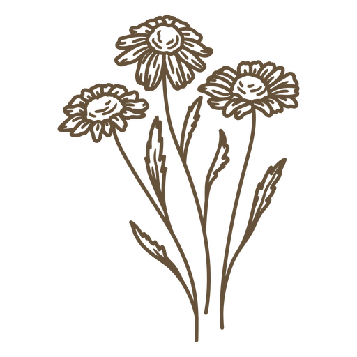 Dibujo marrón de flores. Diseño PNG