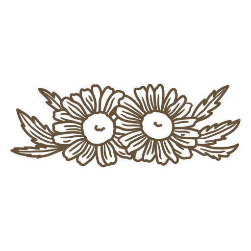 Two daisies with leaves hand drawn PNG Design