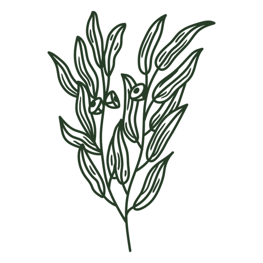 Elegante diseño de arte lineal botánico. Diseño PNG