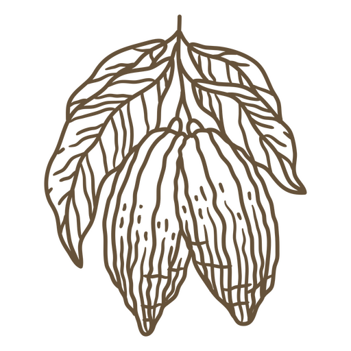 Cocoa pod with leaves PNG Design