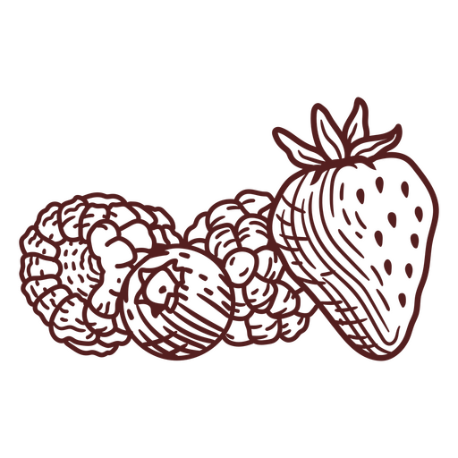 Ilustración en blanco y negro de fresas y frambuesas. Diseño PNG