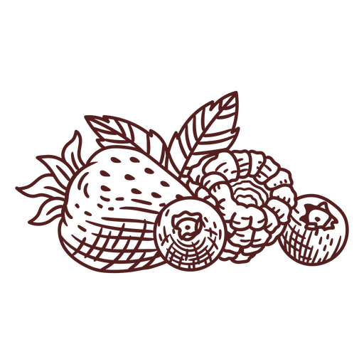 Dibujo en blanco y negro de fresas y hojas. Diseño PNG