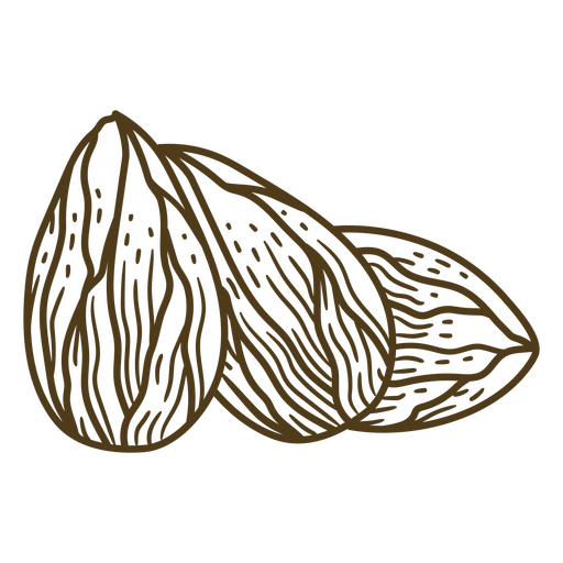 Three almonds hand drawn PNG Design