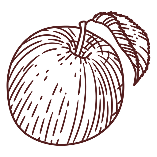 Hand drawn apple with a leaf PNG Design