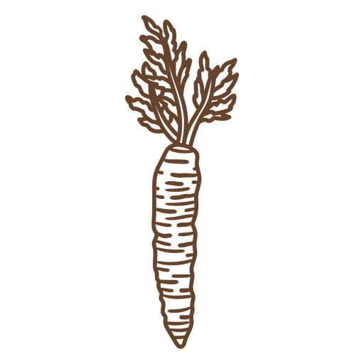 Illustration of a carrot PNG Design