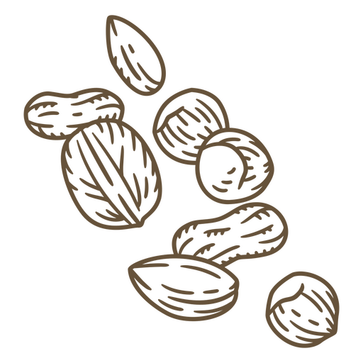 Erdnüsse Haselnüsse und Mandeln PNG-Design