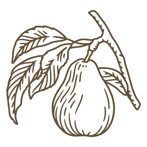 Schwarz-weiße Zeichnung einer Birne auf einem Ast PNG-Design