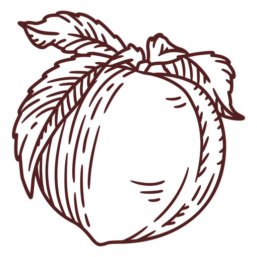 Pfirsich mit Blättern PNG-Design