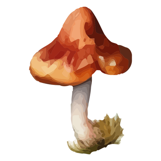 Design de arte vibrante em forma de cogumelo Desenho PNG