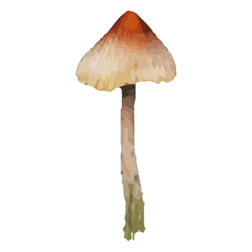 Ilustración estilizada de un hongo con tonos cálidos. Diseño PNG