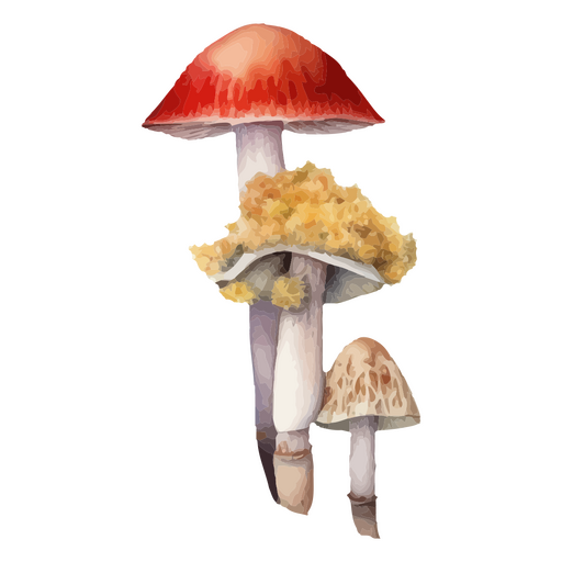 Ilustración colorida de hongos para amantes de la naturaleza. Diseño PNG