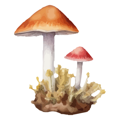 Ilustración botánica caprichosa con vibrantes detalles de hongos.  Diseño PNG