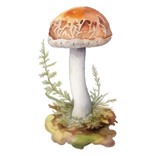 Ilustración caprichosa de un hongo sobre un fondo neutro Diseño PNG