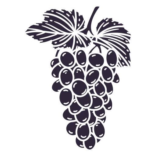 Stylized grape vine graphic design PNG Design