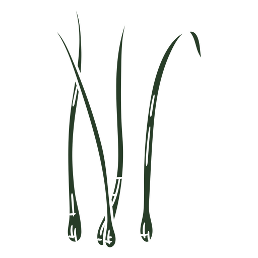 Artistic green onion illustration PNG Design